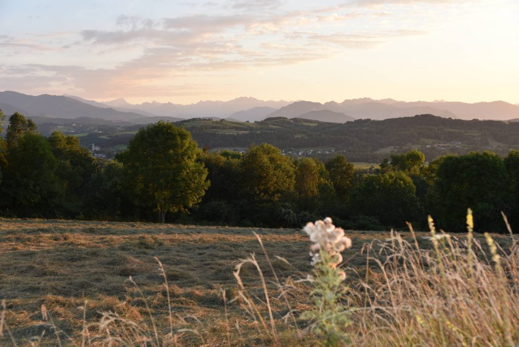 Vielle-Adour vue Ouest